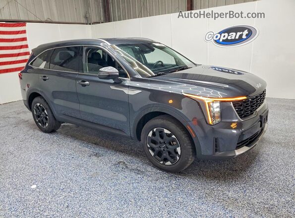 5XYRLDJC8RG258000 2024 KIA SORENTO Charcoal Przód prawy