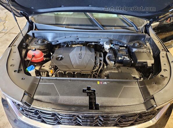 5XYRLDJC9SG329646 2025 KIA SORENTO Black Vista interior trasera