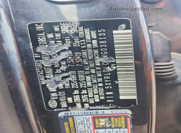 5XYRLDLC8MG038135 2021 KIA SORENTO Gray ძრავის განყოფილების ხედი
