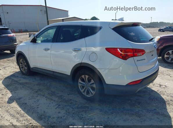 5XYZT3LB3GG317613 2016 HYUNDAI SANTA FE SPORT White Trasero izquierdo