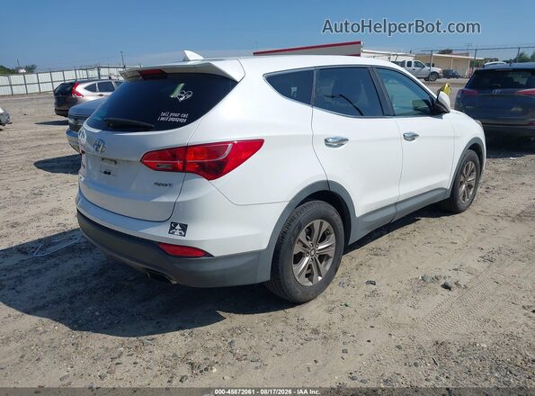5XYZT3LB3GG317613 2016 HYUNDAI SANTA FE SPORT White Trasero derecho