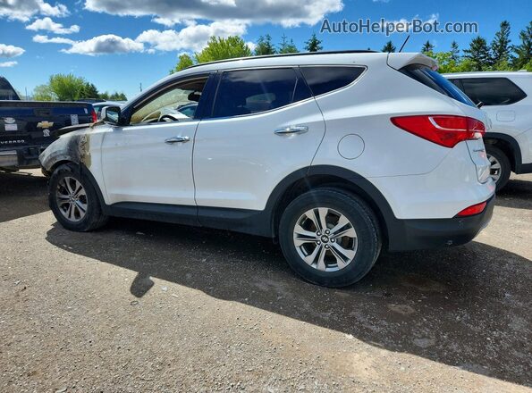 5XYZT3LB7GG355264 2016 HYUNDAI SANTA White უკანა მარცხენა