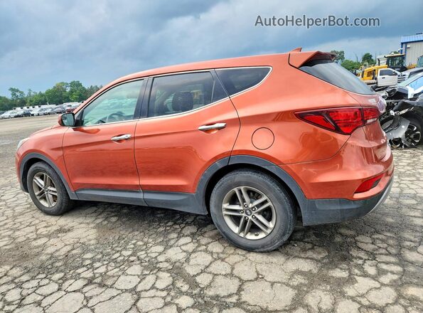 5XYZTDLBXHG442602 2017 HYUNDAI SANTA Оранжевый Задняя левая четверть