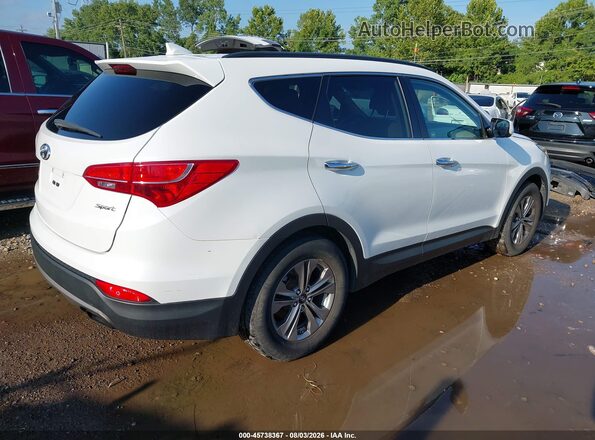 5XYZU3LB6GG334841 2016 HYUNDAI SANTA FE SPORT Белый Задняя правая четверть