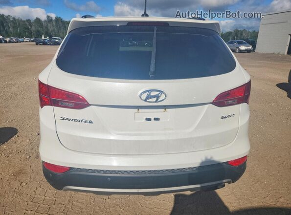 5XYZU3LB8GG378601 2016 HYUNDAI SANTA White უკანა ხედი