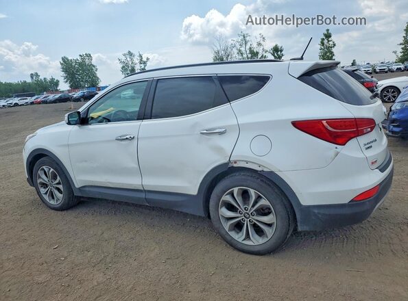 5XYZUDLA8GG359303 2016 HYUNDAI SANTA White Задня ліва чверть