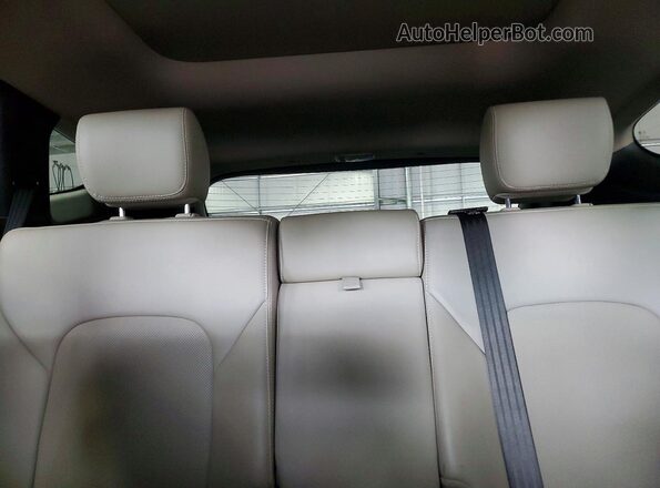 5XYZUDLB1HG496643 2017 HYUNDAI SANTA Blue Rear seats view