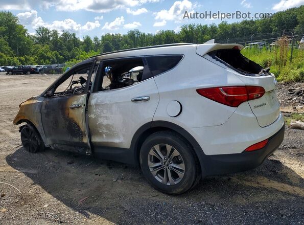 5XYZUDLB5GG337297 2016 HYUNDAI SANTA White Задня ліва чверть