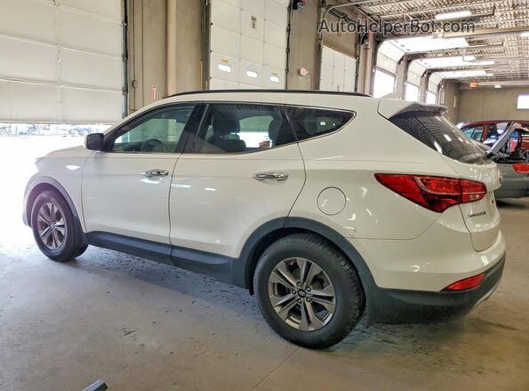 5XYZUDLB7GG335261 2016 HYUNDAI SANTA Unknown - Not Ok For Inv. Հետևի ձախ