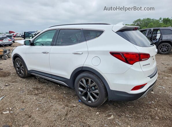 5XYZWDLA7HG478407 2017 HYUNDAI SANTA White Tył lewy