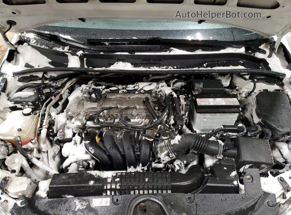 5YFBPRBE8LP103274 2020 TOYOTA COROLLA White Սալոնի հետևի տեսք