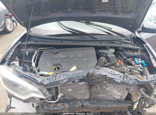 5YFBURHE4GP384933 2016 TOYOTA COROLLA Gray Հետևի տեսք