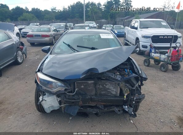 5YFBURHE4GP384933 2016 TOYOTA COROLLA Gray Սալոնի հետևի տեսք