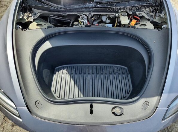 5YJ3E1EA0SF041609 2025 TESLA MODEL Gray Widok wnętrza z tyłu