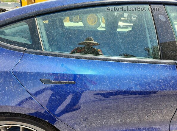 5YJ3E1EA2MF015791 2021 TESLA MODEL Blue უკანა სავარძლების ხედი