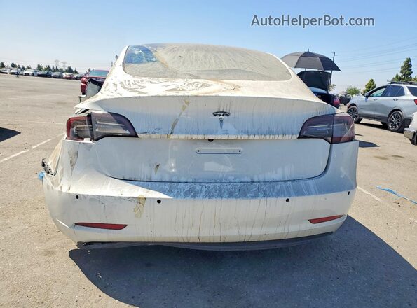 5YJ3E1EA6NF242550 2022 TESLA MODEL White Rear view