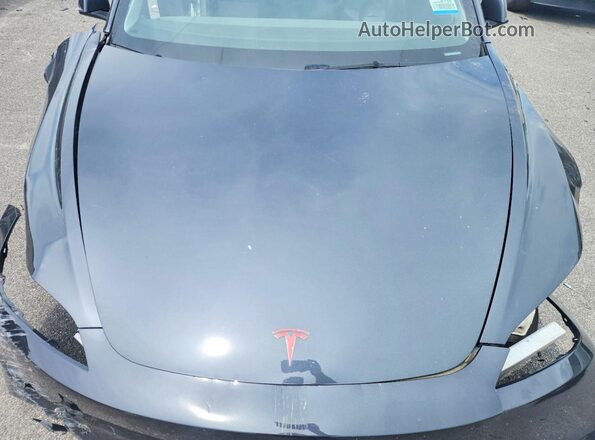 5YJ3E1EA7RF727706 2024 TESLA MODEL Угольный Вид задней части салона