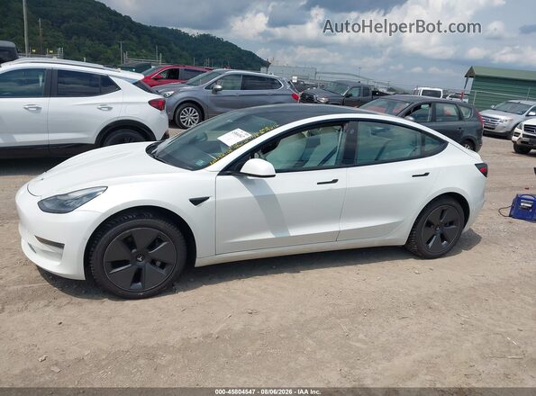 5YJ3E1EB1MF860348 2021 TESLA MODEL 3 Белый Панорамный вид салона 360°