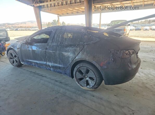 5YJ3E1EB1PF713516 2023 TESLA MODEL Burn Задня ліва чверть