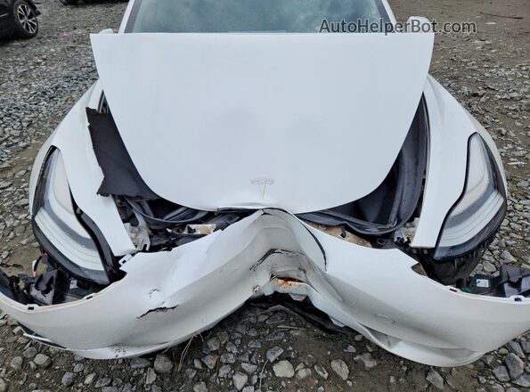 5YJ3E1EB2KF494008 2019 TESLA OTHER Белый Вид задней части салона