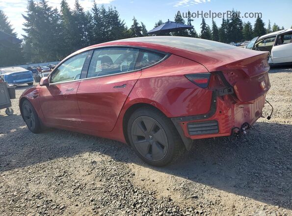 5YJ3E1EB2MF019767 2021 TESLA MODEL Red უკანა მარცხენა