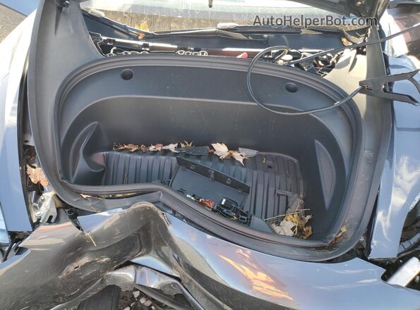 5YJ3E1EB2PF666657 2023 TESLA MODEL Серый Вид задней части салона