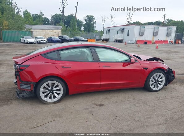 5YJ3E1EB4MF924916 2021 TESLA MODEL 3 Red Widok wnętrza z tyłu