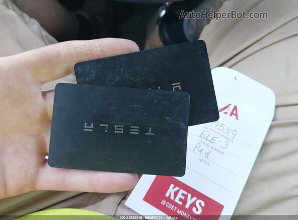 5YJ3E1EB4MF924916 2021 TESLA MODEL 3 Red Widok z tyłu
