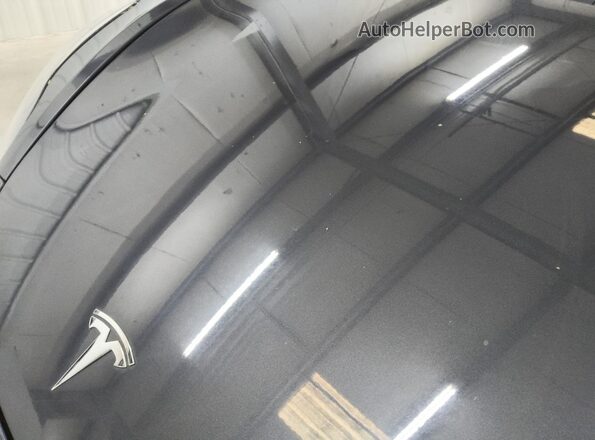 5YJ3E1EB5MF979066 2021 TESLA MODEL Charcoal Սալոնի 360 աստիճան տեսք