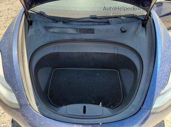 5YJ3E1EB6KF231701 2019 TESLA MODEL Blue Vista interior trasera