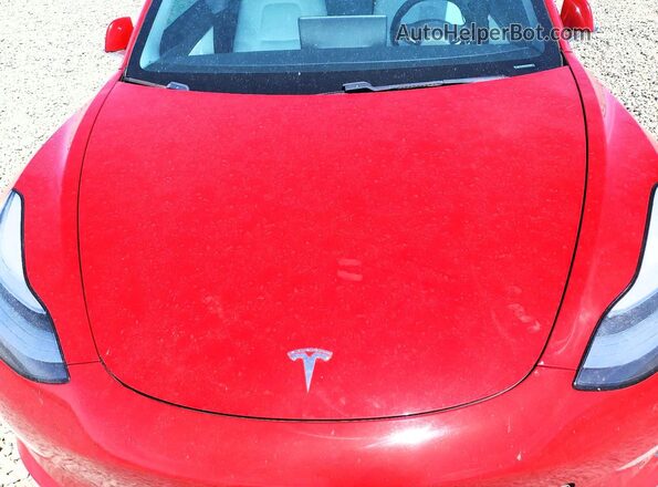 5YJ3E1EB7KF192648 2019 TESLA MODEL Red უკანა სალონის ხედი