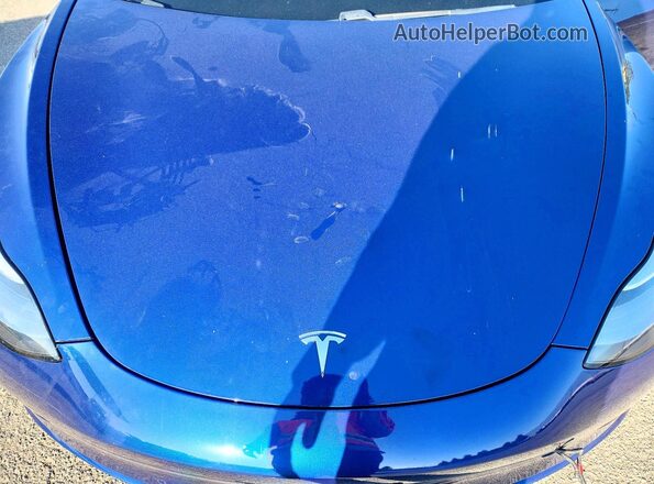 5YJ3E1EB7LF617187 2020 TESLA MODEL Blue Vista interior trasera