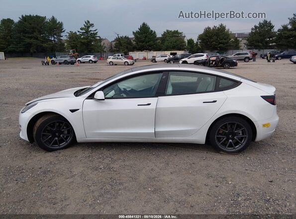 5YJ3E1EB9MF073406 2021 TESLA MODEL 3 Белый Вид задней части салона