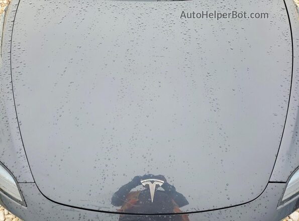 5YJ3E1EB9RF812457 2024 TESLA MODEL Угольный Вид задней части салона
