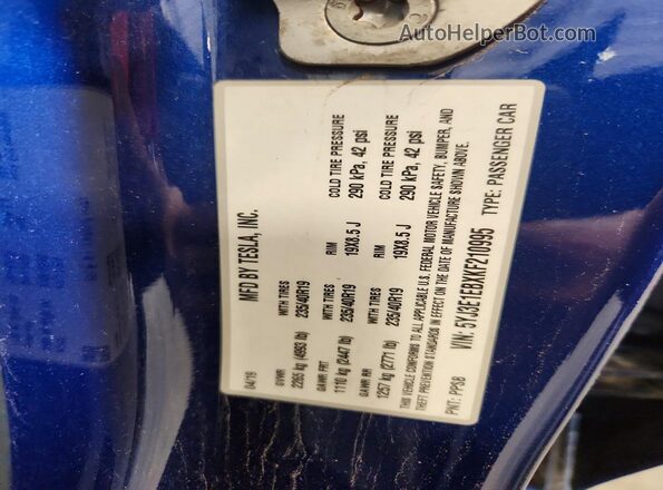 5YJ3E1EBXKF210995 2019 TESLA MODEL Blue VIN sticker view