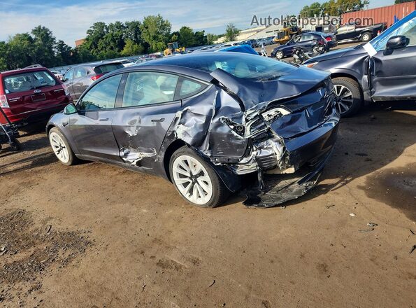 5YJ3E1EBXPF660900 2023 TESLA MODEL Gray უკანა მარცხენა