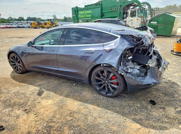 5YJ3E1EC5LF646860 2020 TESLA MODEL Gray Задня ліва чверть