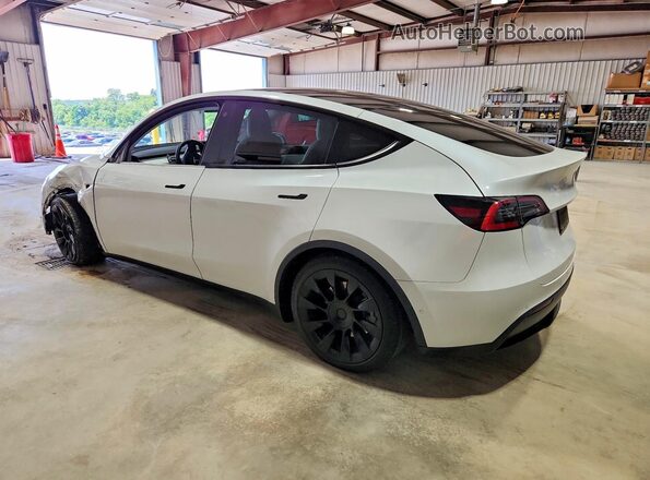 5YJYGAEE2MF136615 2021 TESLA MODEL Белый Задняя левая четверть