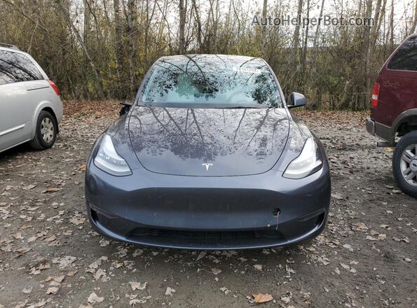 5YJYGDEE0MF093281 2021 TESLA MODEL Charcoal Widok z przodu