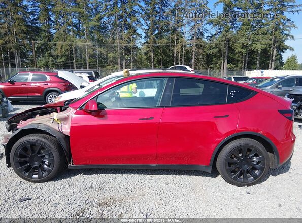 5YJYGDEE0MF259122 2021 TESLA MODEL Y Red 