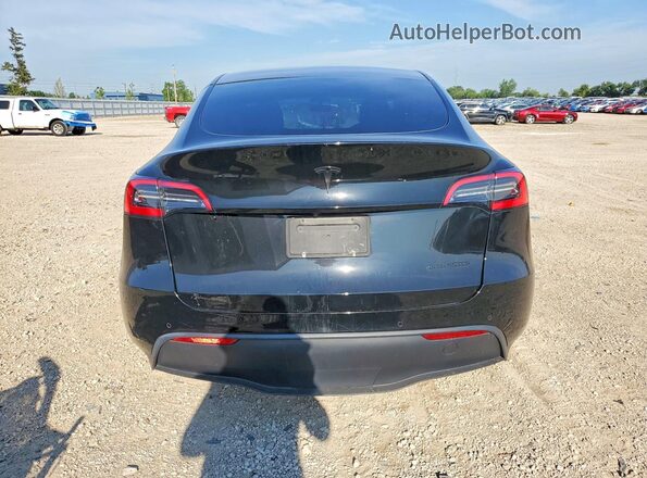 5YJYGDEE1MF063139 2021 TESLA MODEL Black Вид ззаду