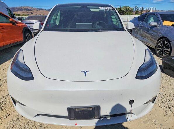 5YJYGDEE1MF086050 2021 TESLA MODEL White წინა ხედი
