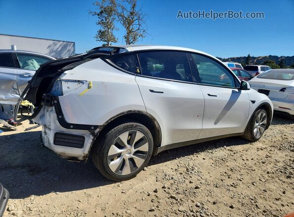 5YJYGDEE1MF086050 2021 TESLA MODEL White უკანა მარჯვენა