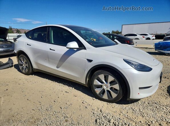5YJYGDEE1MF086050 2021 TESLA MODEL White წინა მარჯვენა