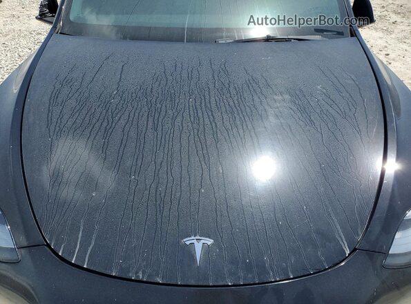 5YJYGDEE3MF143610 2021 TESLA MODEL Y Black Engine compartment view