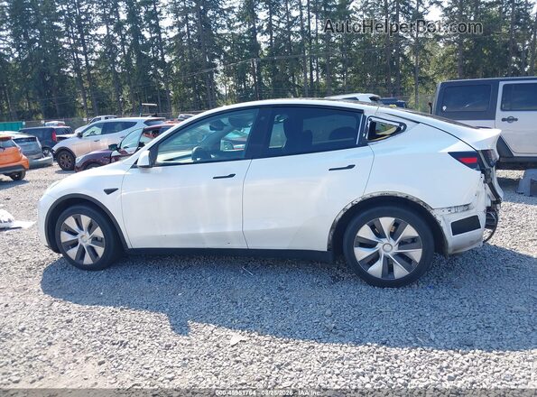 5YJYGDEE3MF234053 2021 TESLA MODEL Y White 