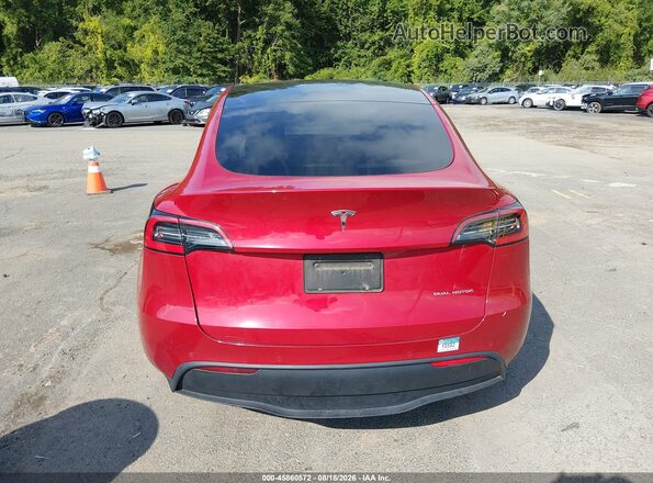 5YJYGDEE4MF104900 2021 TESLA MODEL Y Красный 