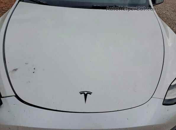 5YJYGDEE4MF185798 2021 TESLA MODEL Белый Вид задней части салона