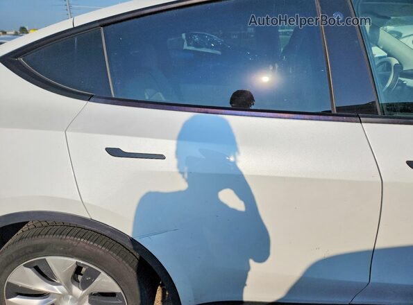 5YJYGDEE5MF130566 2021 TESLA MODEL White Widok tylnych siedzeń