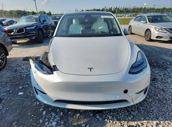 5YJYGDEE5MF130566 2021 TESLA MODEL White Widok z przodu